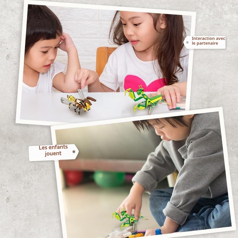 woma-farm-insect-11805-insectes-jeu-de-construction-727-pi-ces-4-mod-les image 6